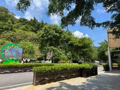 -广州白江湖森林公园