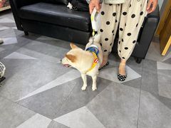 -久久宠物(河东万达店)