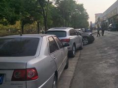 -金塔傣乡·云南民族特色菜·傣味手抓饭(金瓦路店)