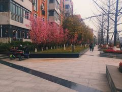 -西南民族大学南区(双流校区)