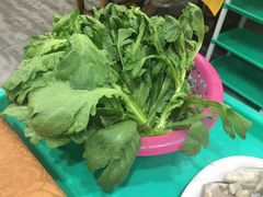 -濠轩阁特色生蚝火锅(水湾路店)