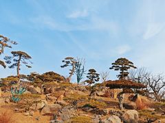 -罗红摄影艺术馆