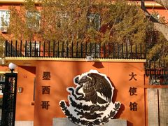 -三里屯东五街银杏大道