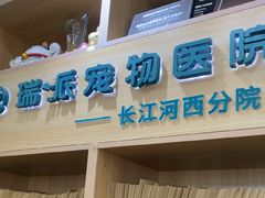 -瑞派长江宠物医院·猫科·外科·24小时夜护(谊城公寓分院)