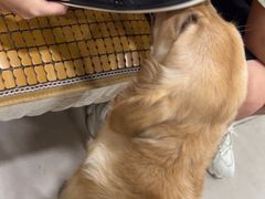 -佳雯宠物医院·皮肤科·内外科(春晓路分院)