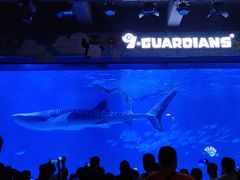 -烟台海昌鲸鲨海洋公园