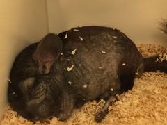 -龙猫仔乐园(惠福东路店)