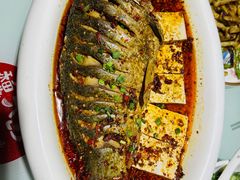 -黄河佬.油泼黄河鲤鱼.地道陕菜(百米大道店)