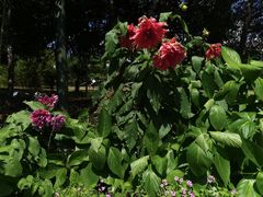 -丽江玉水寨