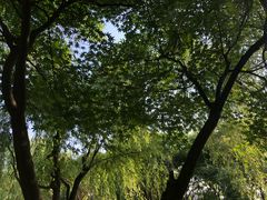 -杭州城北体育公园