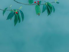 -南京市无想山景区