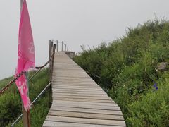 -灵山