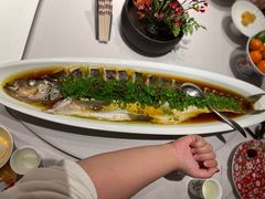 翡翠鲜椒蒸大白丝-蘇锦宴·淮扬菜烤鸭·小院(三元桥霄云路店)