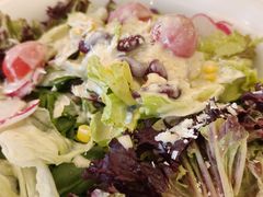 -博雅渔港·融合菜(维也纳国际大酒店)