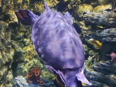 -欢乐海岸海洋奇梦馆
