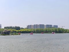 -大兴滨河森林公园