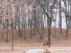 -承德避暑山庄景区