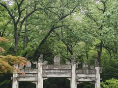 -灵谷景区