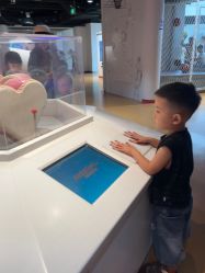 -北京科学中心儿童乐园