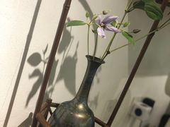-茶是一枝花泡茶店