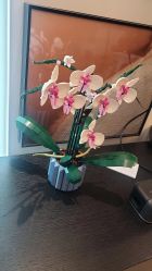 -乐高授权专卖店(新北万达店)