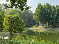 -东郊湿地公园