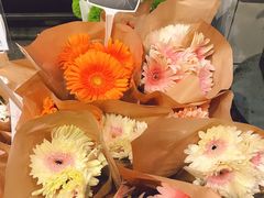 -豆豆花艺(新光天地店)