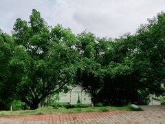 -李宁体育园