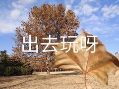 -泰丰公园