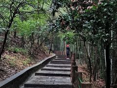 -敬亭山风景名胜区