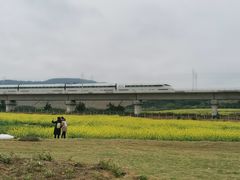 -光明小镇欢乐田园