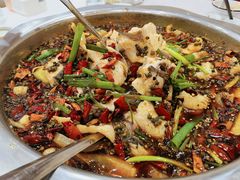 -乡土特色.冷锅鱼.牦牛肉汤锅