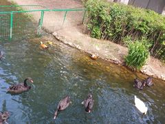 -长白岛森林公园