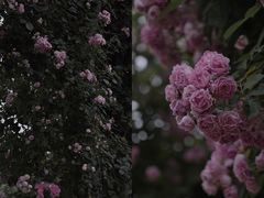 -尚贤河湿地