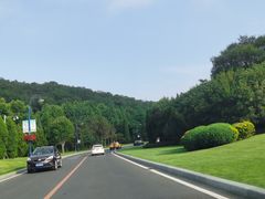-棒棰岛宾馆景区