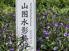 -长兴太湖图影湿地文化园