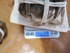-阳澄湖大闸蟹·琼灵阁牌品牌连锁(吴中总店)