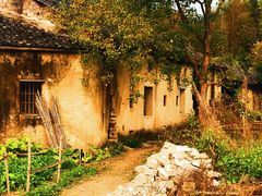 -塔川景区