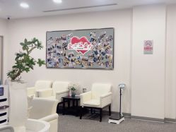-北京明德医院·医疗美容