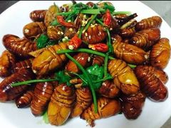 -东北王食府(科大店)