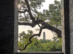 -江心屿景区