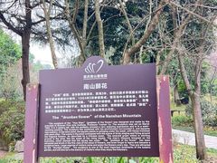 -南山植物园
