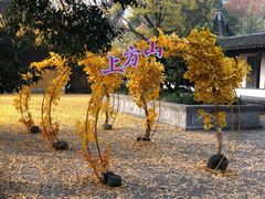 -苏州上方山国家森林公园