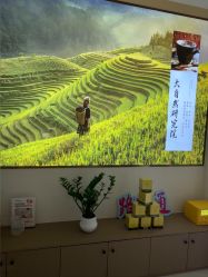 -头道汤头疗养生馆