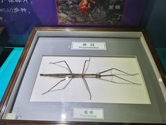 -上海昆虫博物馆