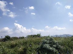-灵山
