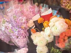-越秀西湖花市(广州城市广场花卉店)
