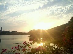 android_upload_pic-三亚亚龙湾凯莱仙人掌度假酒店