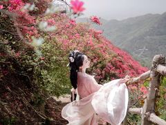 -木兰云雾山