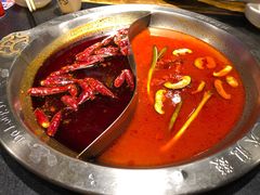 -大龙燚火锅(春熙店)